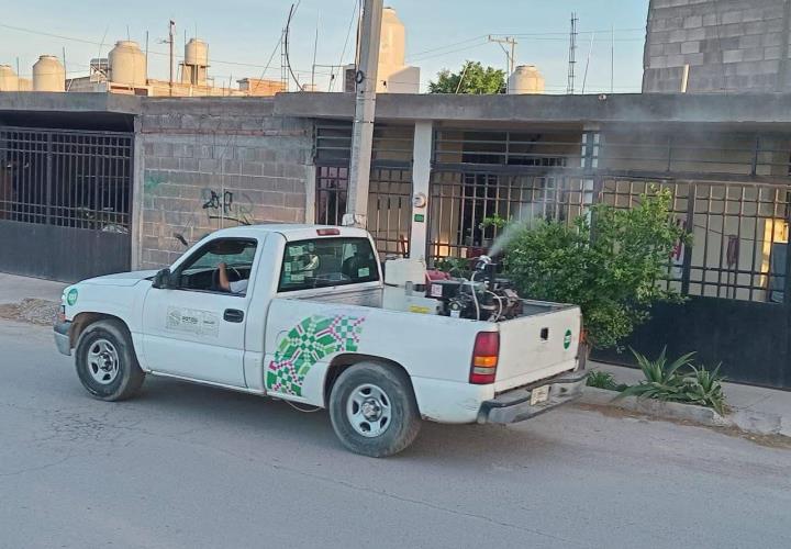 Jurisdicción VI de Tamazunchale realizó nebulización en Tampacán