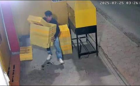 Roban negocio de pollos en colonia XEW de Tamazunchale