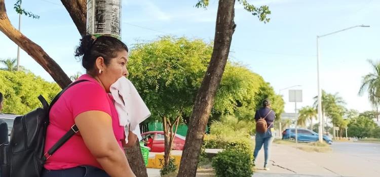 Depresión y diabetes  afectan más a mujeres