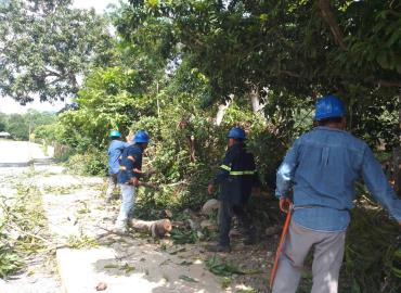 CFE realizó trabajos preventivos