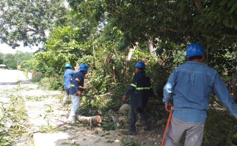 CFE realizó trabajos preventivos