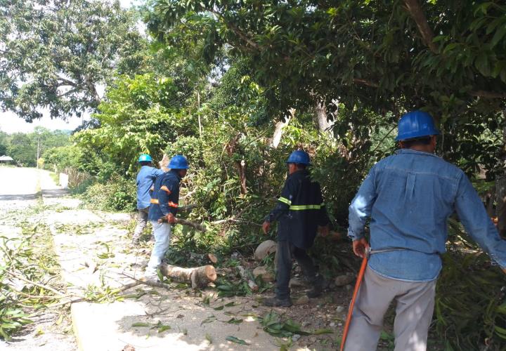 CFE realizó trabajos preventivos