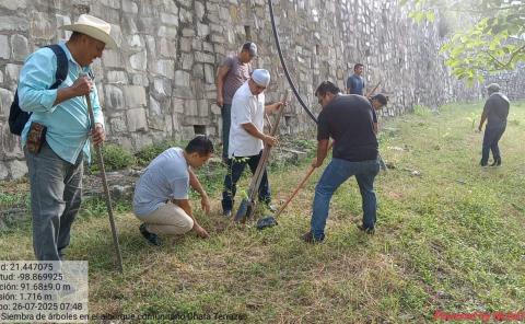 Suma 23 días consecutivos de reforestación comunitaria
