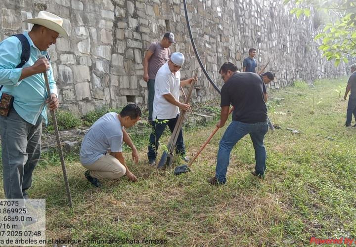 Suma 23 días consecutivos de reforestación comunitaria
