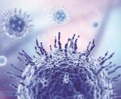 Al borde de una epidemia