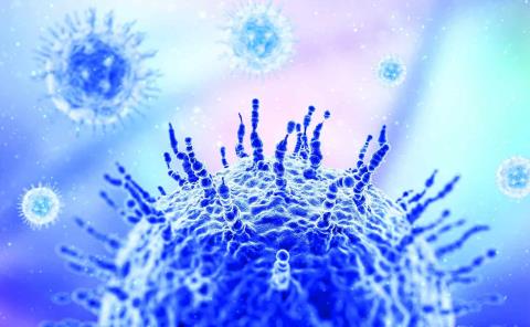 Al borde de una epidemia