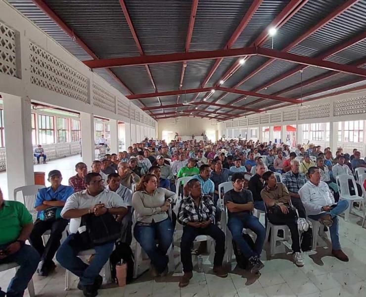 Prácticas de fertilización  ayudan a combatir plagas  
