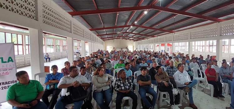 Prácticas de fertilización  ayudan a combatir plagas  
