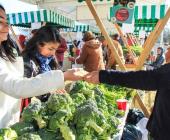 Invitan a ser parte del  mercadito del Trueque 