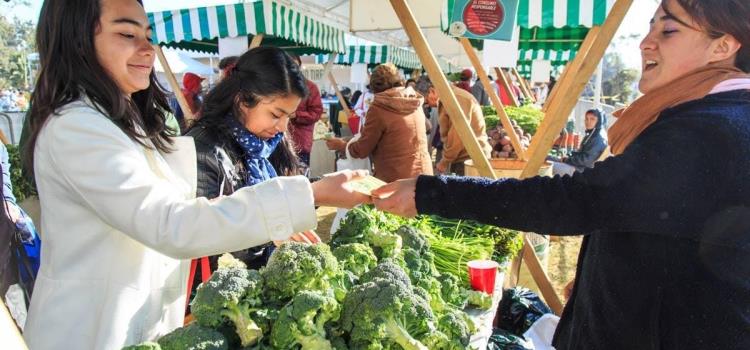 Invitan a ser parte del  mercadito del Trueque 
