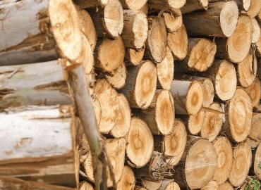 Se encarece la leña alcanza los mil pesos