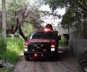 2 LESIONADOS POR ATAQUE DE ABEJAS