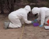 Localizaron narcofosa