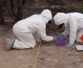 Localizaron narcofosa