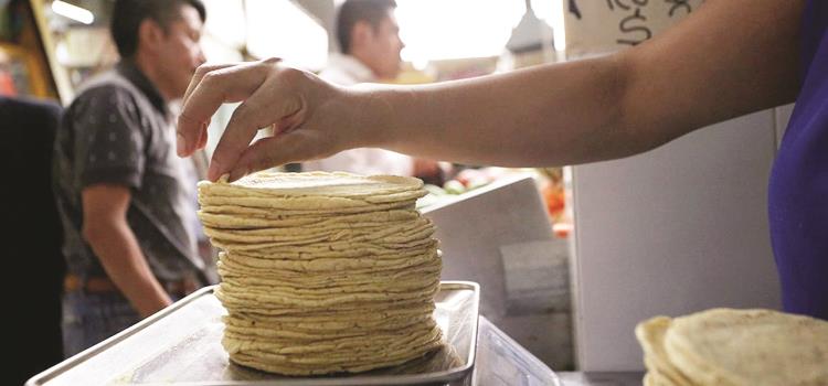 Abaratarán la tortilla