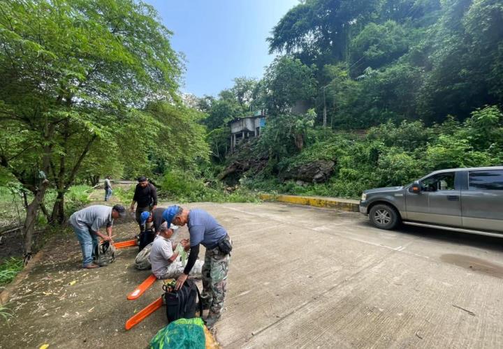 Tras lluvias, acentúan limpieza en predios