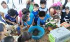 Culminó campamento de verano 

