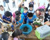 Culminó campamento de verano 