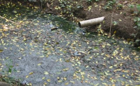 Detectan alta concentración de hierro en el arroyo Tenango

