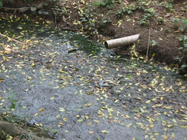 Detectan alta concentración de hierro en el arroyo Tenango