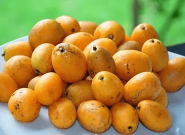 El jobo pinta de amarillo el Mercado; inicia la temporada