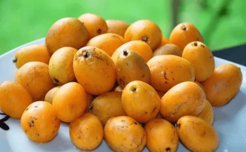 El jobo pinta de amarillo el Mercado; inicia la temporada
