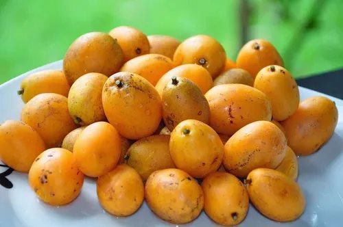 El jobo pinta de amarillo el Mercado; inicia la temporada
