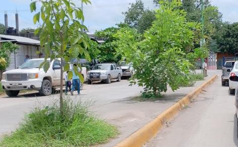 Urge limpieza en boulevard del ISSSTE