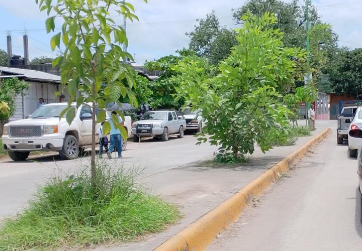 Urge limpieza en boulevard del ISSSTE