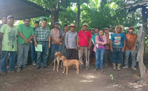 Impulsan producción de piloncillo en Tamazunchale
