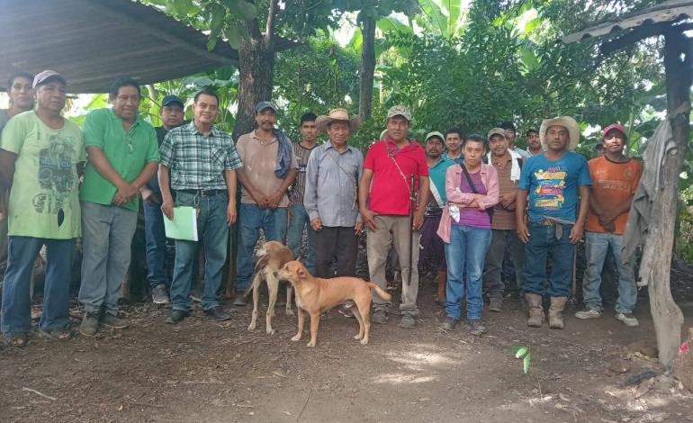 Impulsan producción de piloncillo en Tamazunchale