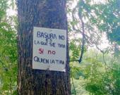 Saquearon flora y fauna de la sierra
