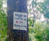 Saquearon flora y fauna de la sierra