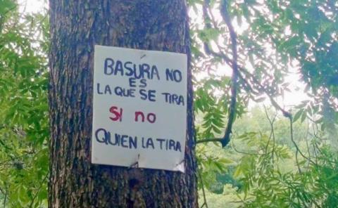 Saquearon flora y fauna de la sierra