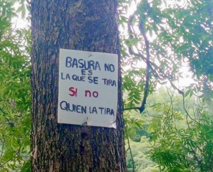 Saquearon flora y fauna de la sierra