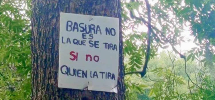 Saquearon flora y fauna de la sierra