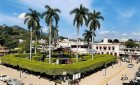 Advierten sobre el deterioro de árboles de ficus en el jardín
