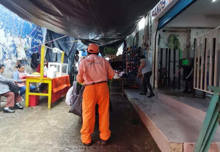 Procuran áreas limpias en la zona centro