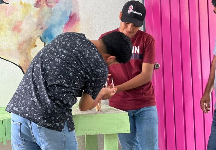 Ofrecen consultas gratuitas para mascotas