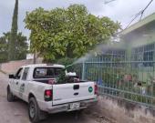 Reforzaron acciones contra dengue en ZM