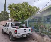 Reforzaron acciones contra dengue en ZM