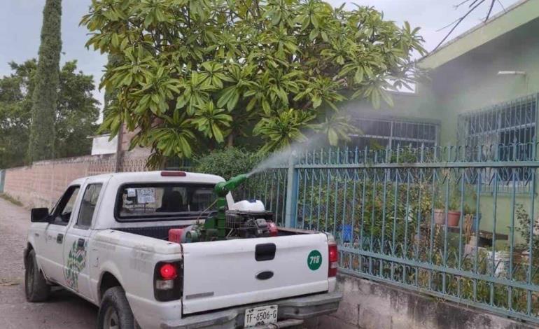 Reforzaron acciones contra dengue en ZM