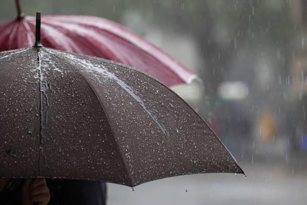 Persistirán las lluvias hasta el próximo miércoles