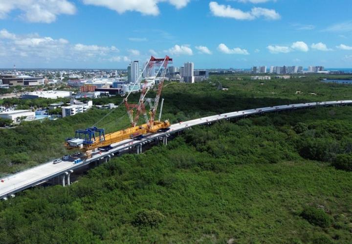 Recuperan más de 300 hectáreas de manglar en Cancún