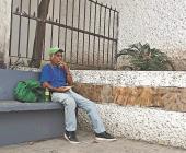 No alcanza ni para comer