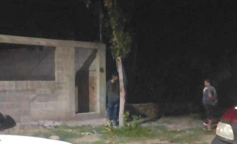 SENTENCIADO POR  ASESINAR A SU TÍO 
