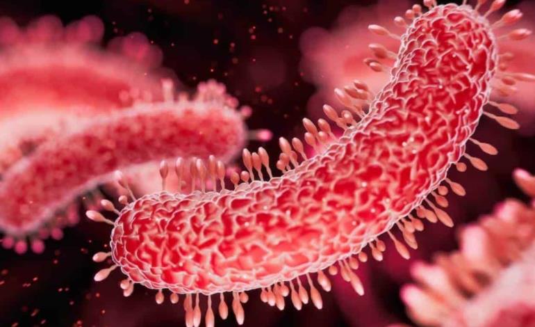 Peligrosa bacteria en shampoo      