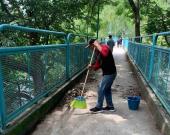 Jornada de limpieza en San Rafael