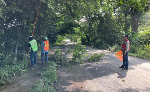 PC realiza trabajos preventivos en carreteras