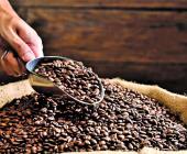 Veneno en café, la caña y maíz